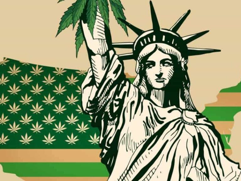 Cannabis-Legalization-NY-800x600